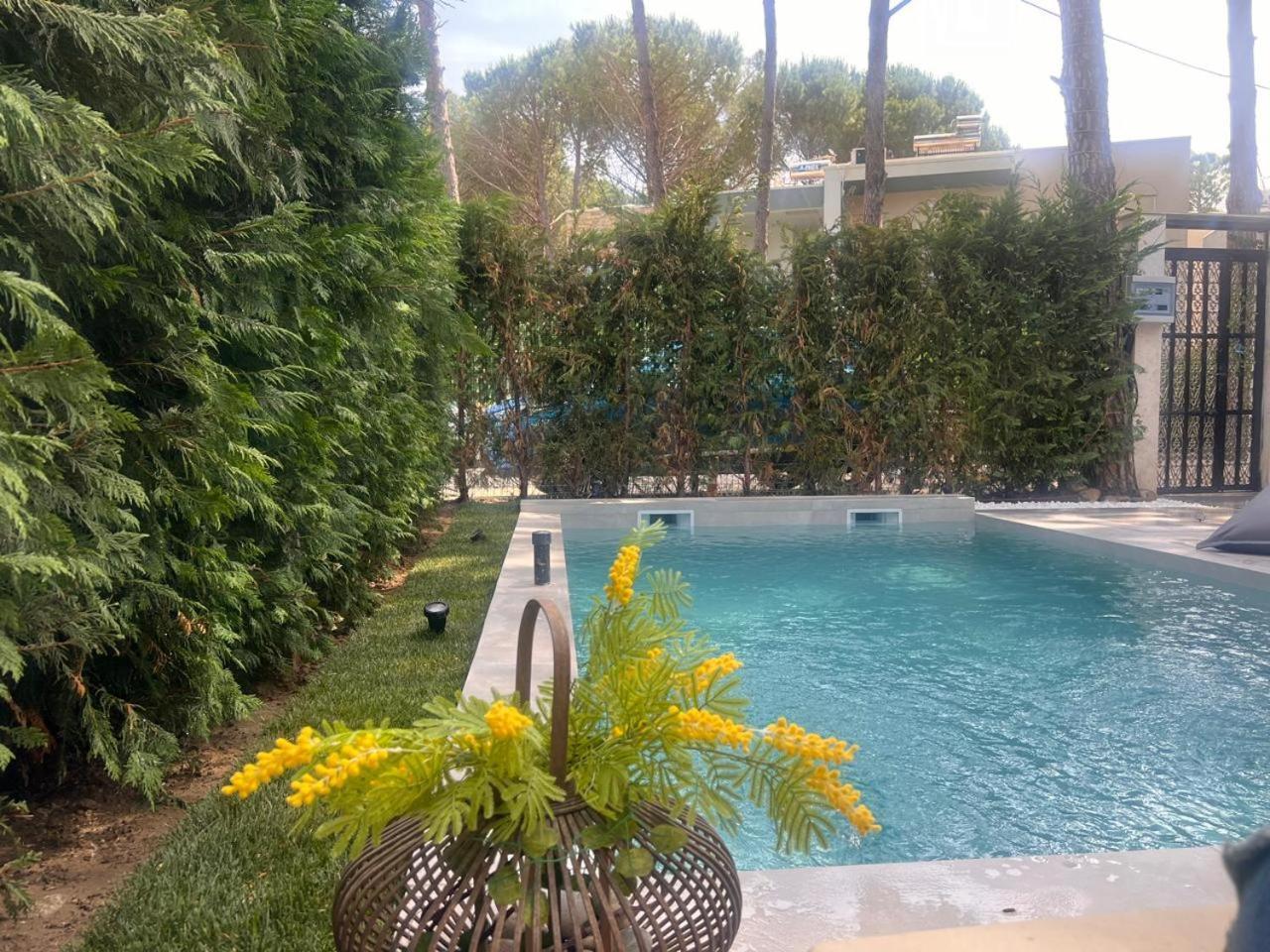Villa Gjiri Lalezit Swimming Pool *